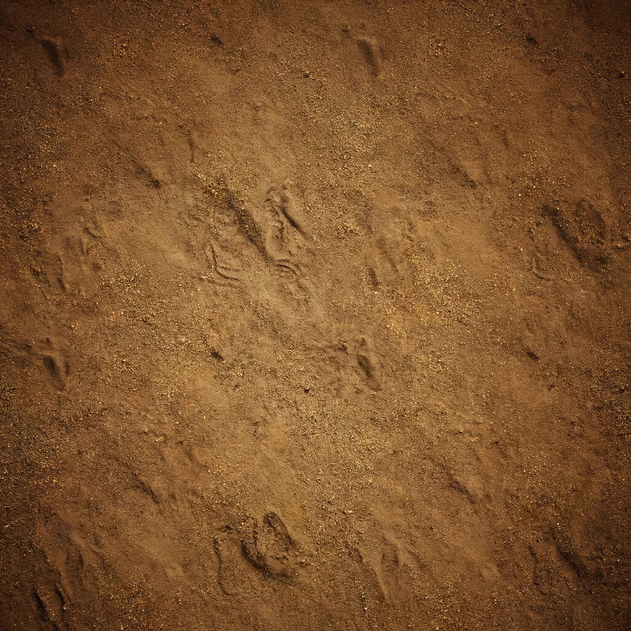 金沙国际足球竞猜赔率分析竞技场